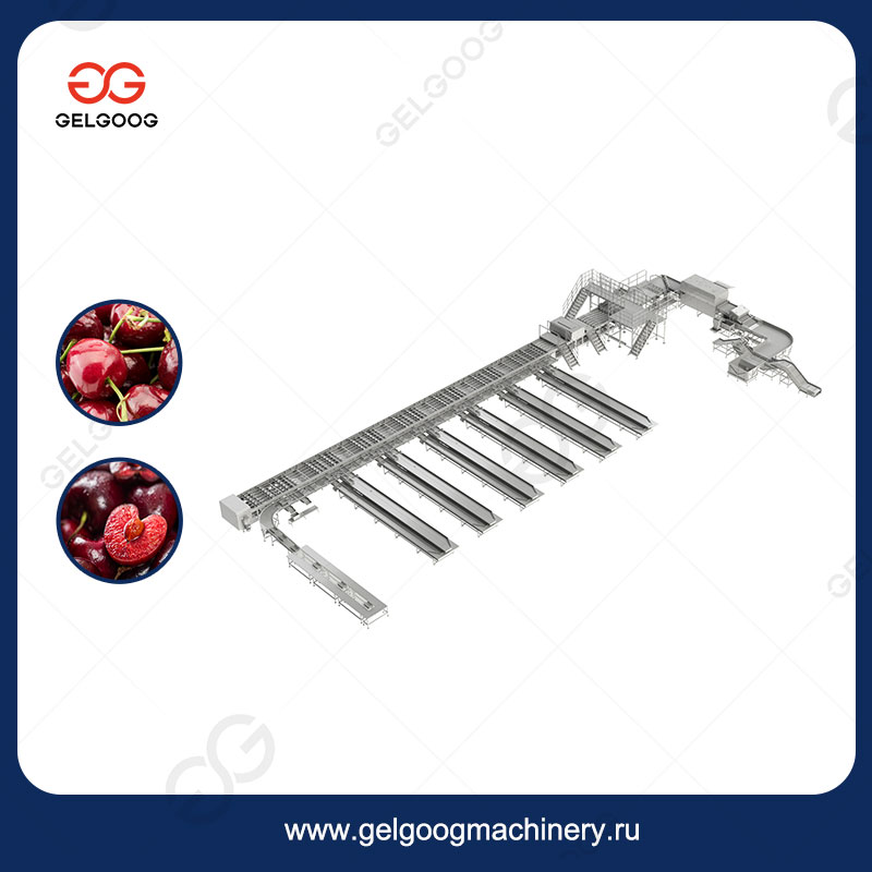 Оборудование Для Сортировки Черники Фабрика