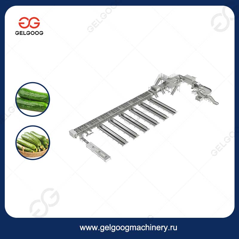 Линия Мойки, Сортировки И Переработки Корнишонов