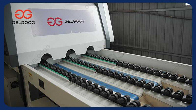 Оборудование-для-сортировки-черники1