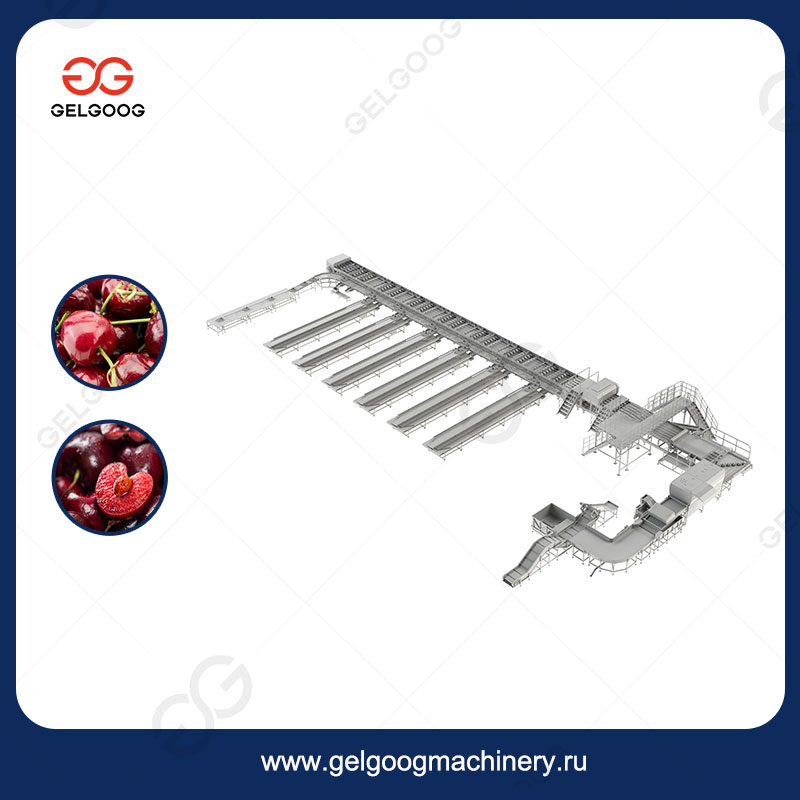 Оборудование Для Сортировки Черники Фабрика