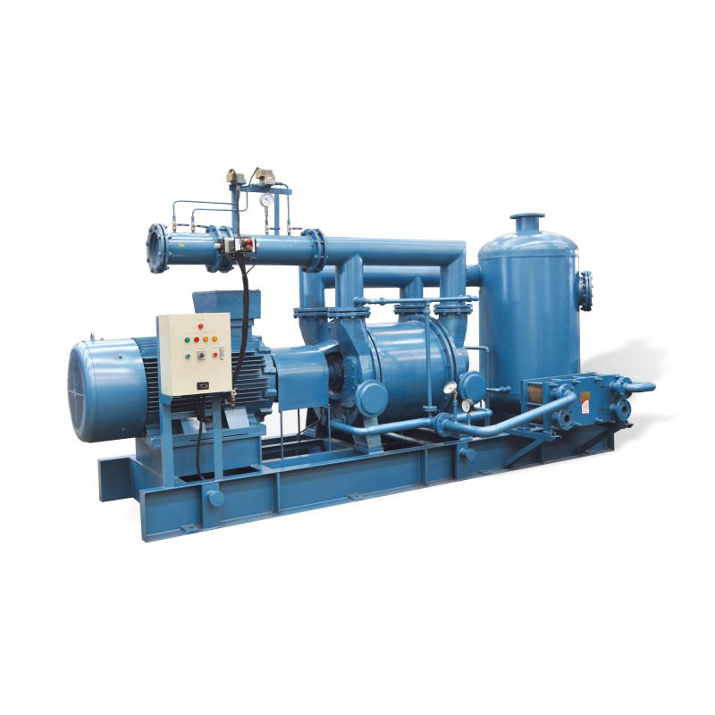 Водокольцевой вакуумный насос 2BWD, полный комплект оборудования - Shandong Goliath Supply Chain Co., Ltd