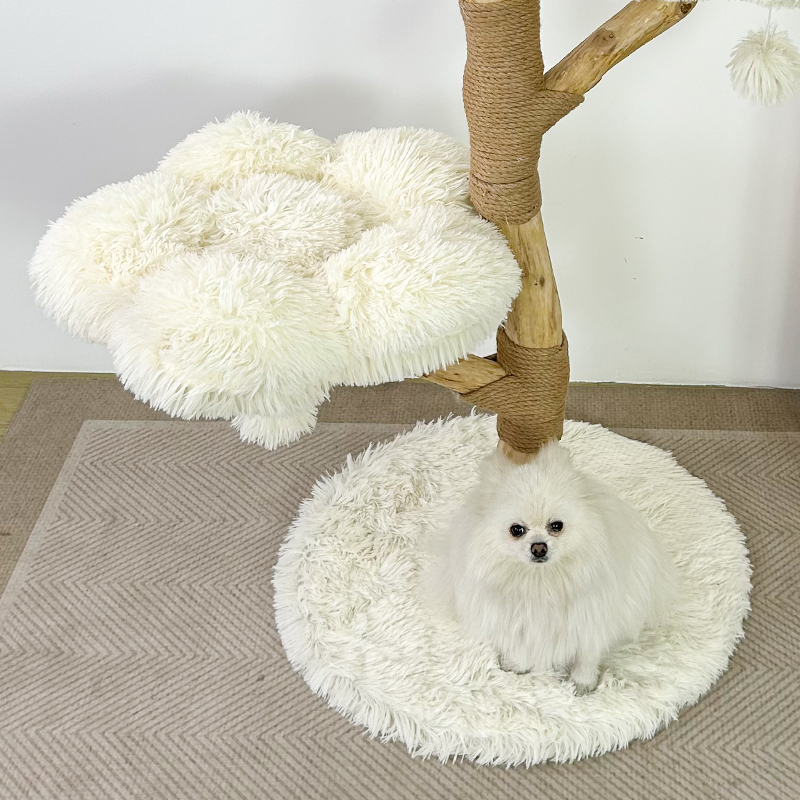 Как инновации улучшают когтеточку с домиком и лежанкой?