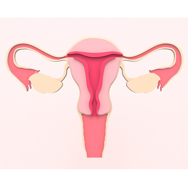 Яичники стареют на 1% каждый год! Сколько из этих пяти тревожных признаков вы заметили?