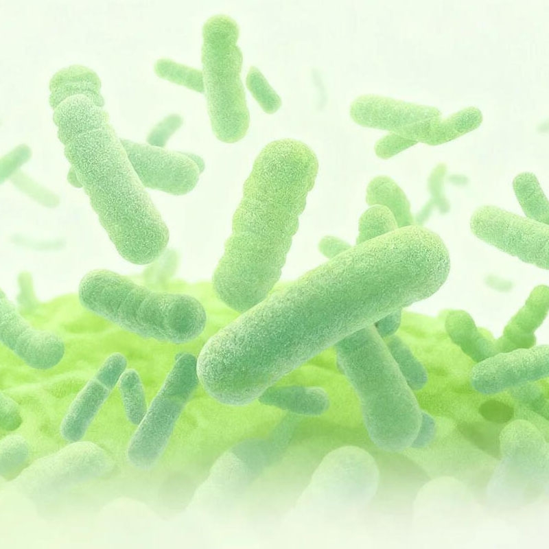 Каково практическое действие пробиотиков? Вы поймёте это, прочитав эту статью.