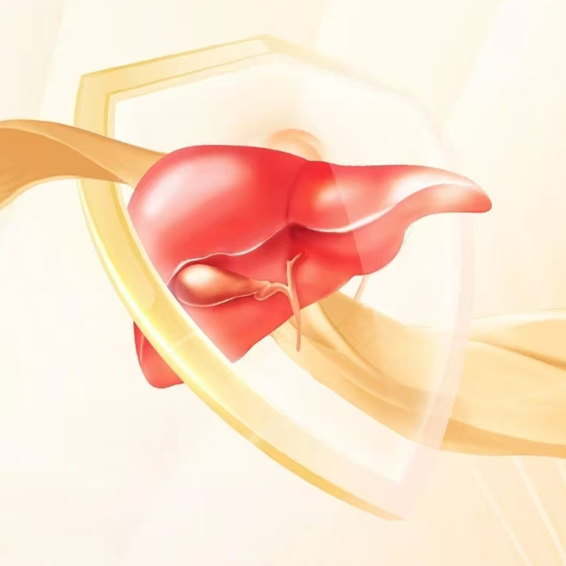 Он молча защищает ваше здоровье:Пожалуйста, не подведите этот «безмолвный» орган.
