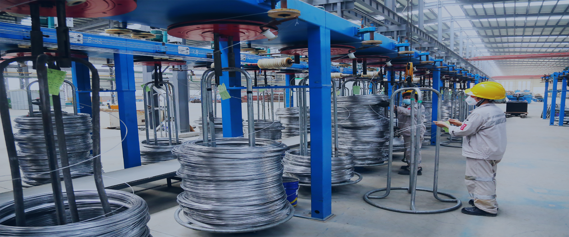 Wire plant