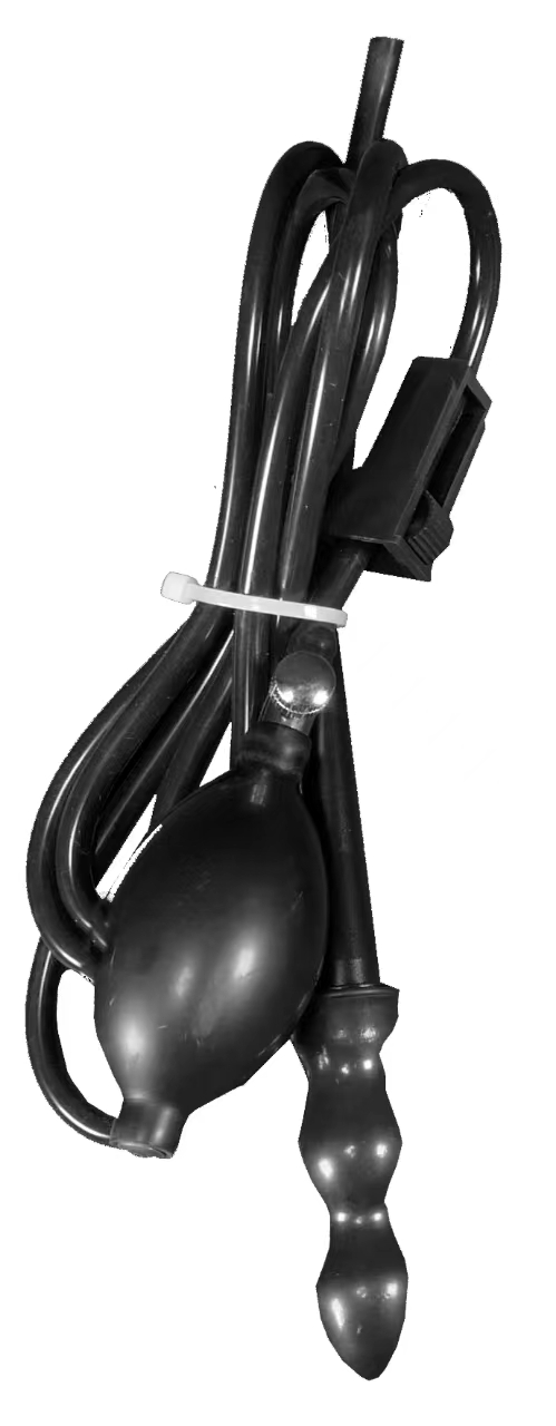 B36 (6)