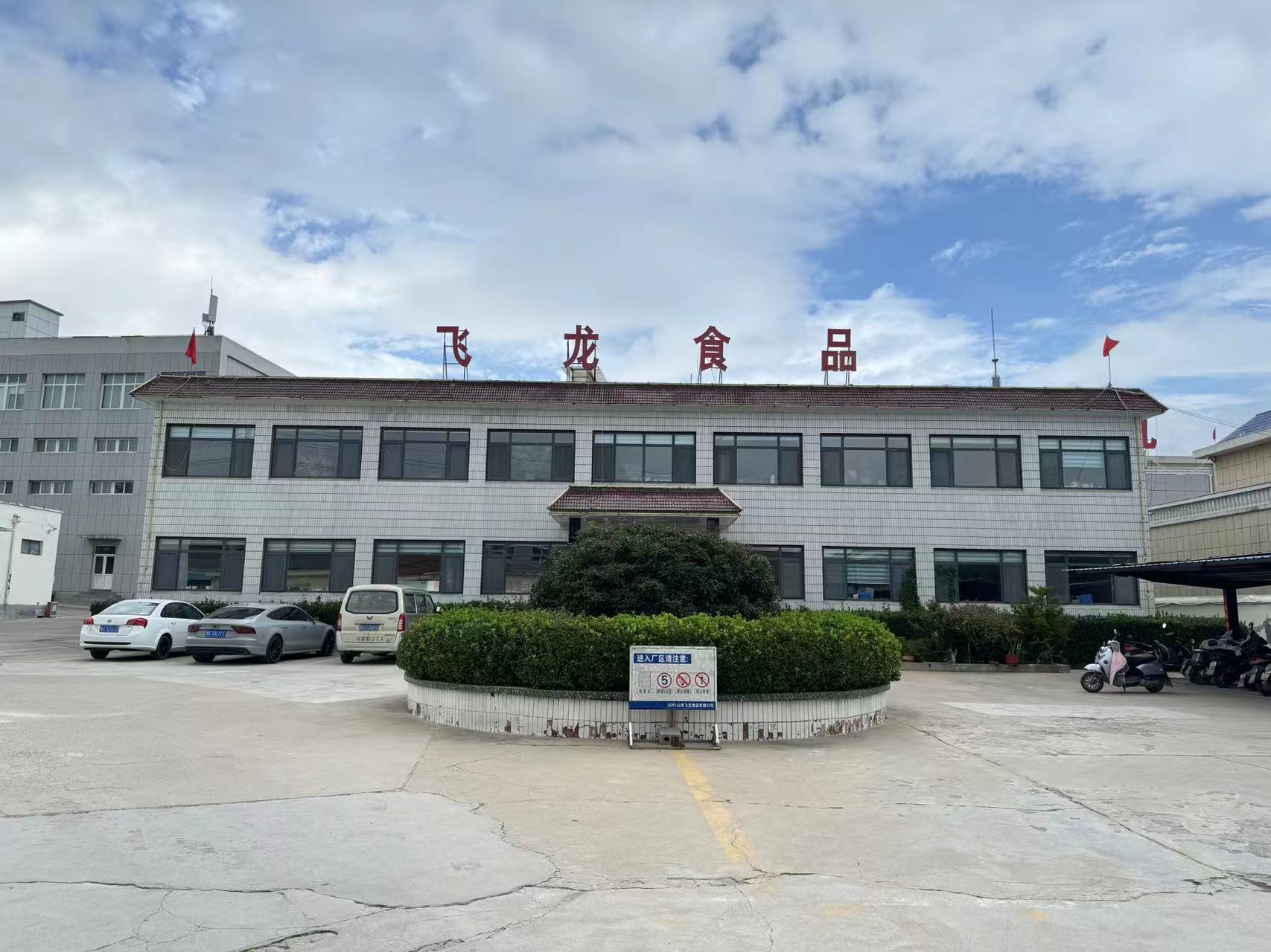Company Overview