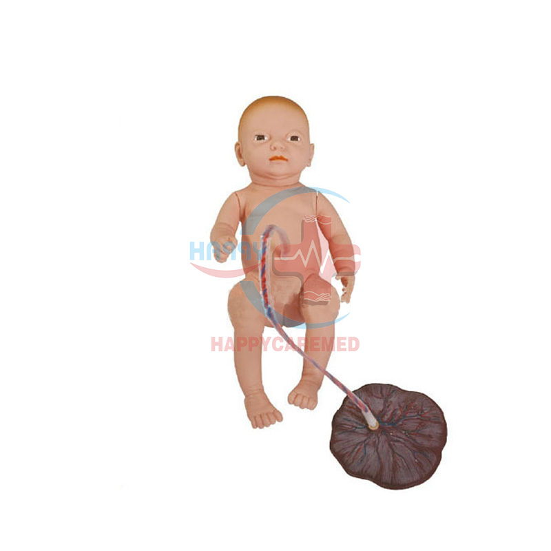 HC-S315A медицинский детский манекен, модель новорожденного ребенка, модели обучения кормлению новорожденных с плацентой