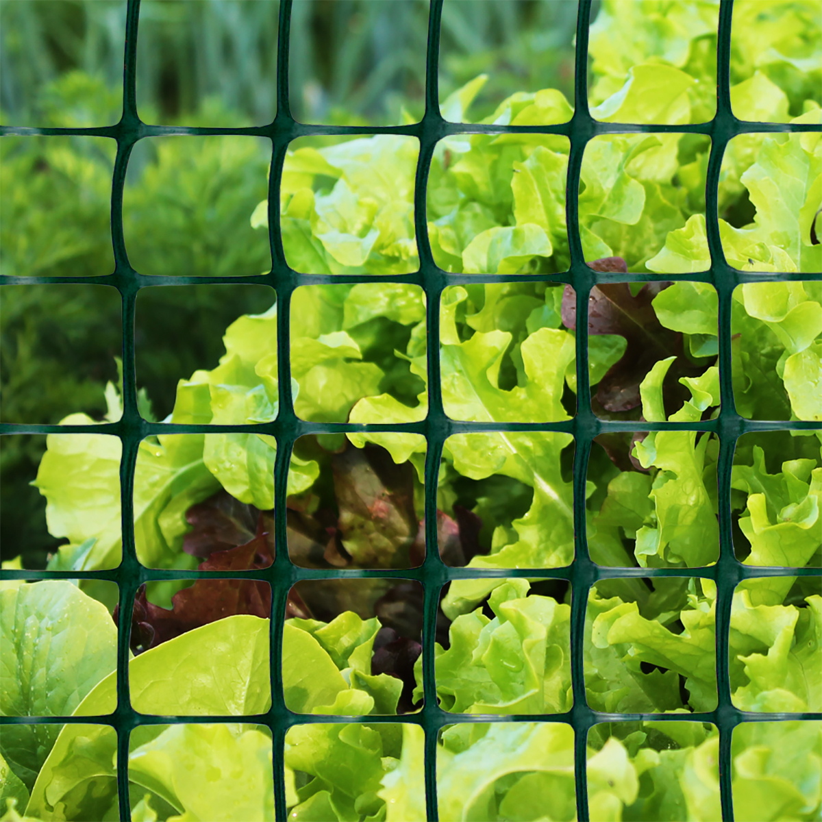 Садовые сетки: Универсальное решение для защиты, поддержки и дизайна вашего участка