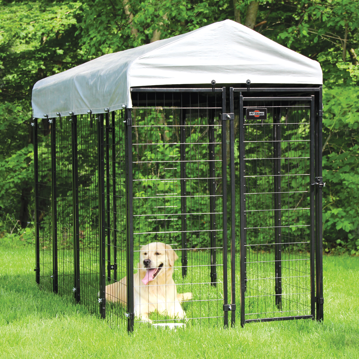 Металлический вольер для собак: надежное решение для питомников и оптового бизнеса