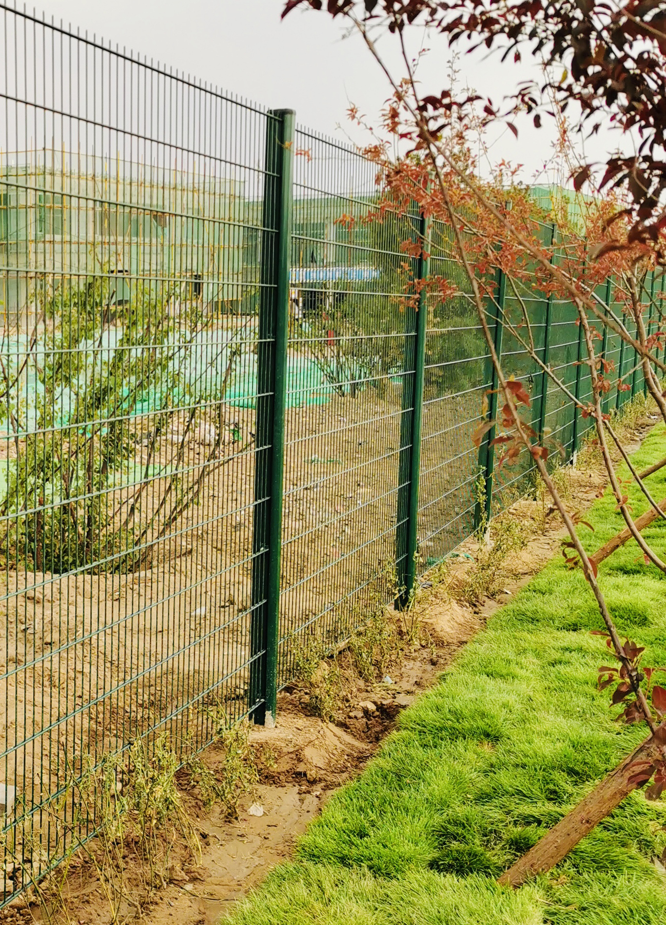 Сварная сетка для забора: надежное ограждение для вашего участка