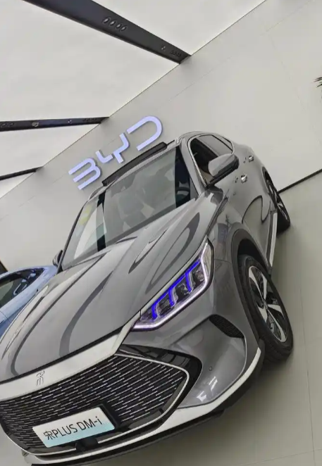 Китайск автомобил популярн на мир рынк, особен в мексик, росс, объединен арабск эмират, великобритан и бразил стран продаж лидир, основн краден модел охватыва внедорожник с нов энергетическ машин ‌.