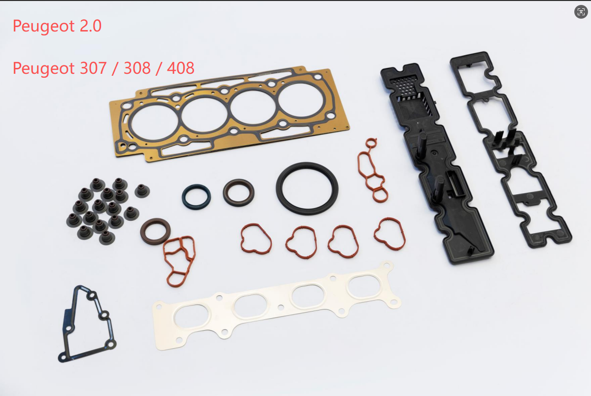 К каким моделям peugeot 2.0 был применен большой пакет моторов peugeot 2.0