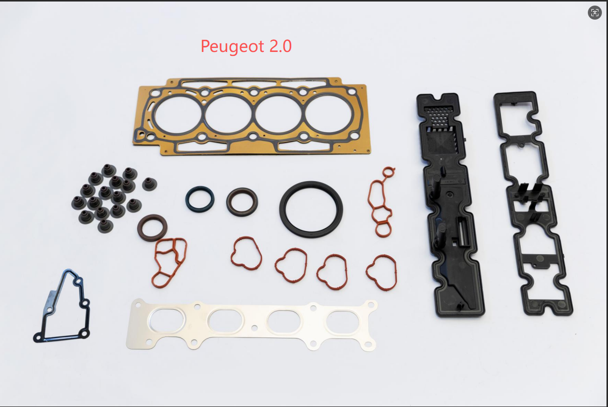 К каким моделям peugeot 2.0 был применен большой пакет моторов peugeot 2.0