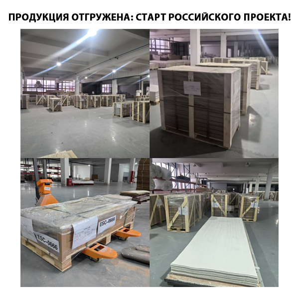 Сотрудничество дало первые плоды: открываем новую главу на зарубежных рынках
