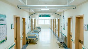 Применение Ледяной и огненный совет в проекте