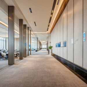 Применение Сотовые стеновые панели SPC Foshan Alu Mrs / SPC эффект нанесения сотовой стеновой панели