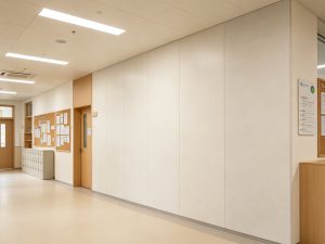 SPC каменные стеновые панели для современной школы