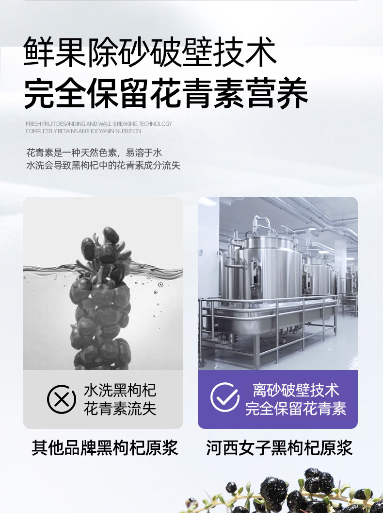 黑枸杞500ml切图_05