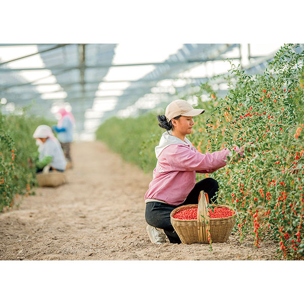 Как NFC влияет на экологичность технологий?