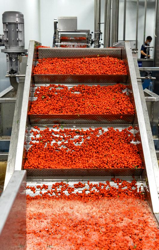 Сохранение свежести и питательных свойств продуктов Северо-Запада (4)