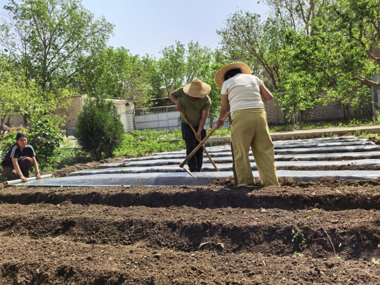 10f73cc97f50126b016fc9616fe24d03