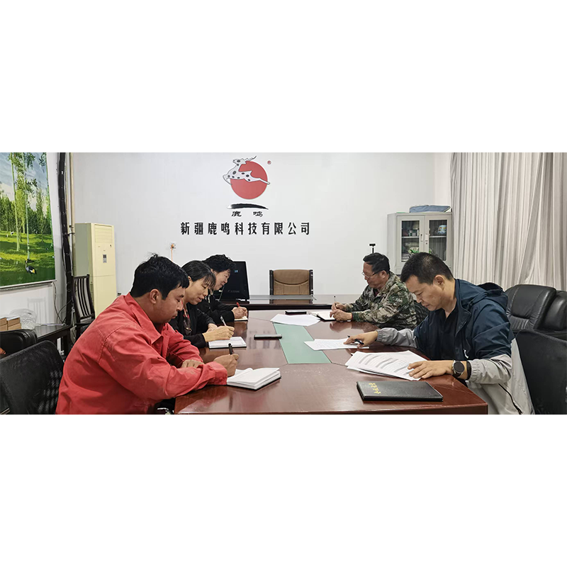 ООО «Синьцзян Лумин Кэтэх» провело тематическое обучение по вопросам законодательства в области охраны труда: закон — как основа безопасного развития предприятия