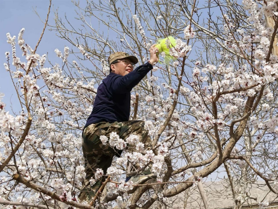 44cdc0d049af114b4cef968c123e1b9b