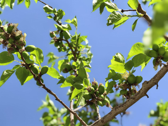 4a327e8c0d14dd5e743c37f70672c11d