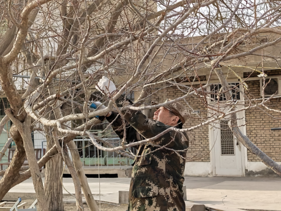 4f66fd7e84c96eeaf90283984fa1633e