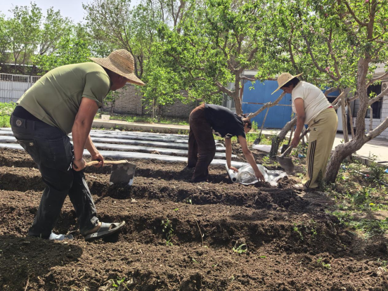 5663a733c1687dcfbfb4de2b2e0f96d3