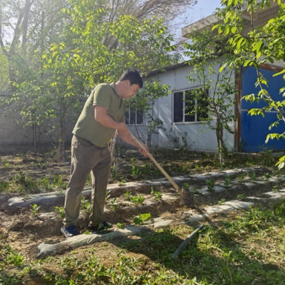 Оленьи крики в Синьцзяне: весенние работы в садах демонстрируют усердие работников.