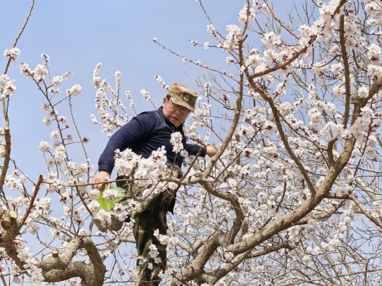 7ac6998610cf268b76a1d60438e5baf3