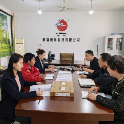 Укрепление управления посредством систем и обеспечение качества обслуживания:  ООО Синьцзян Лумин Технология успешно завершила аудит трех систем.