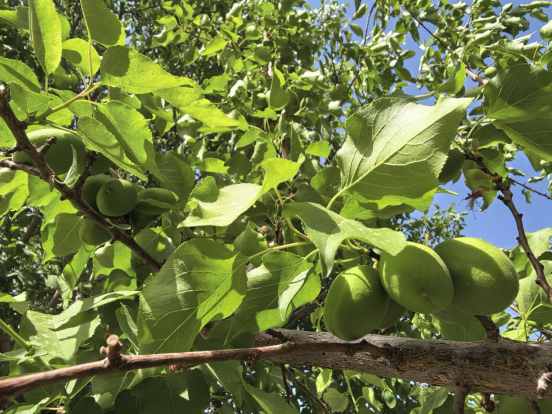 88b2c73674dfe7f50396729809bee210