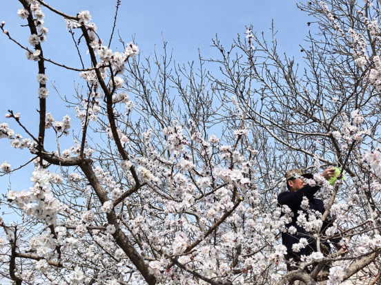 b9a7c5549c6cd044adabe73c1eac50d5