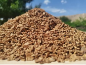 ba35cc5037278920ce87022253acec1f