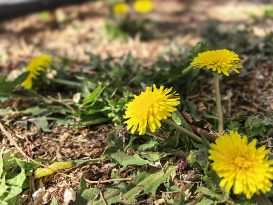 bb07ea7752b06677e415bea5abc3c010