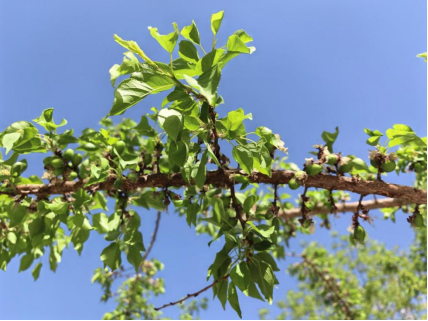 d4216e362b79b4ad7dba44b843388d4f