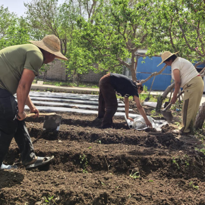 Весенняя вспашка и подготовка идут полным ходом; плодородная почва питает ароматные плоды – Научно-технологический сад Лумин в Синьцзяне глубоко культивирует экологически чистые и устойчивые методы садоводства.