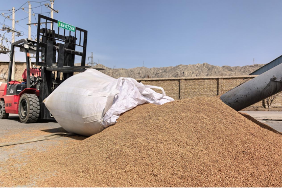 e3d5dd3c7f1e2aea411b4870448d9ccd