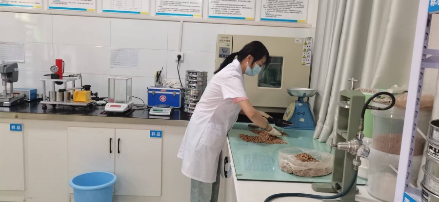 xinwen4 (1)