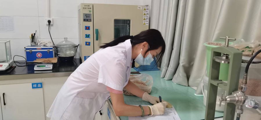 xinwen4 (5)
