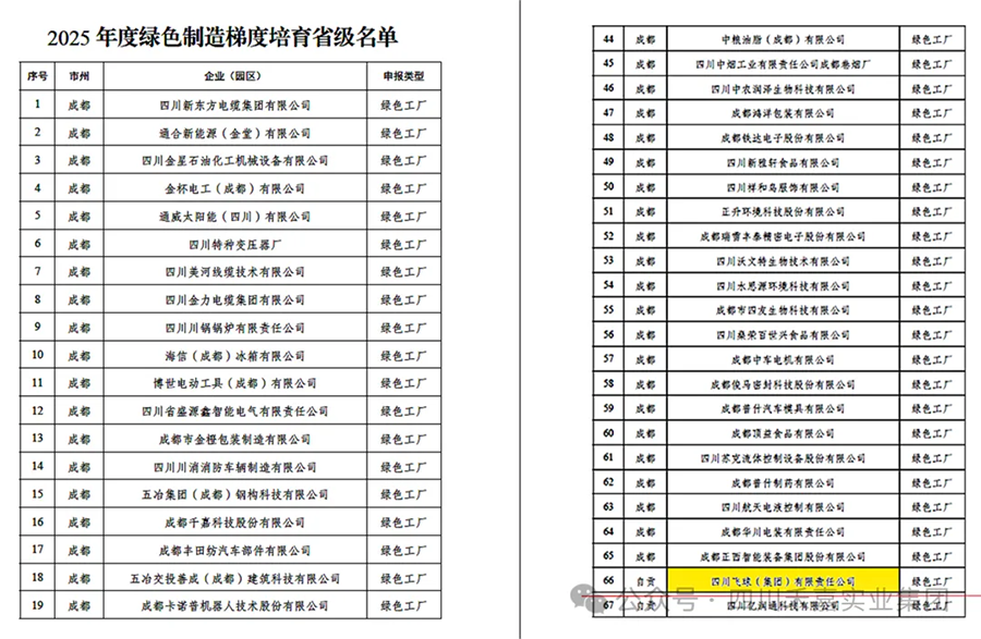 Sichuan Feiqiu удостоена звания «Зеленая фабрика», что создает основу для высококачественного развития (1)
