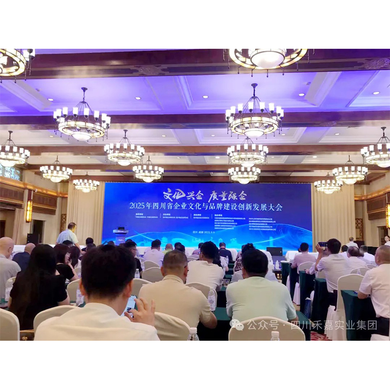 ООО Сычуань Фэйцю (Группа) удостоено звания «Промышленный эталон качества провинции Сычуань» | Представление выдающегося качества на Конференции по развитию брендов 2025