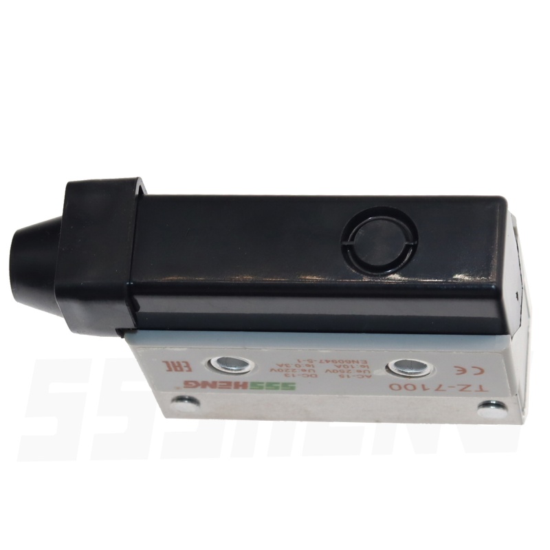 ВККП-7311-65-УХЛЗ ,10A,IP65,1з+1р, закрепленный на панели продольный роликовый толкатель, Микровыключатели