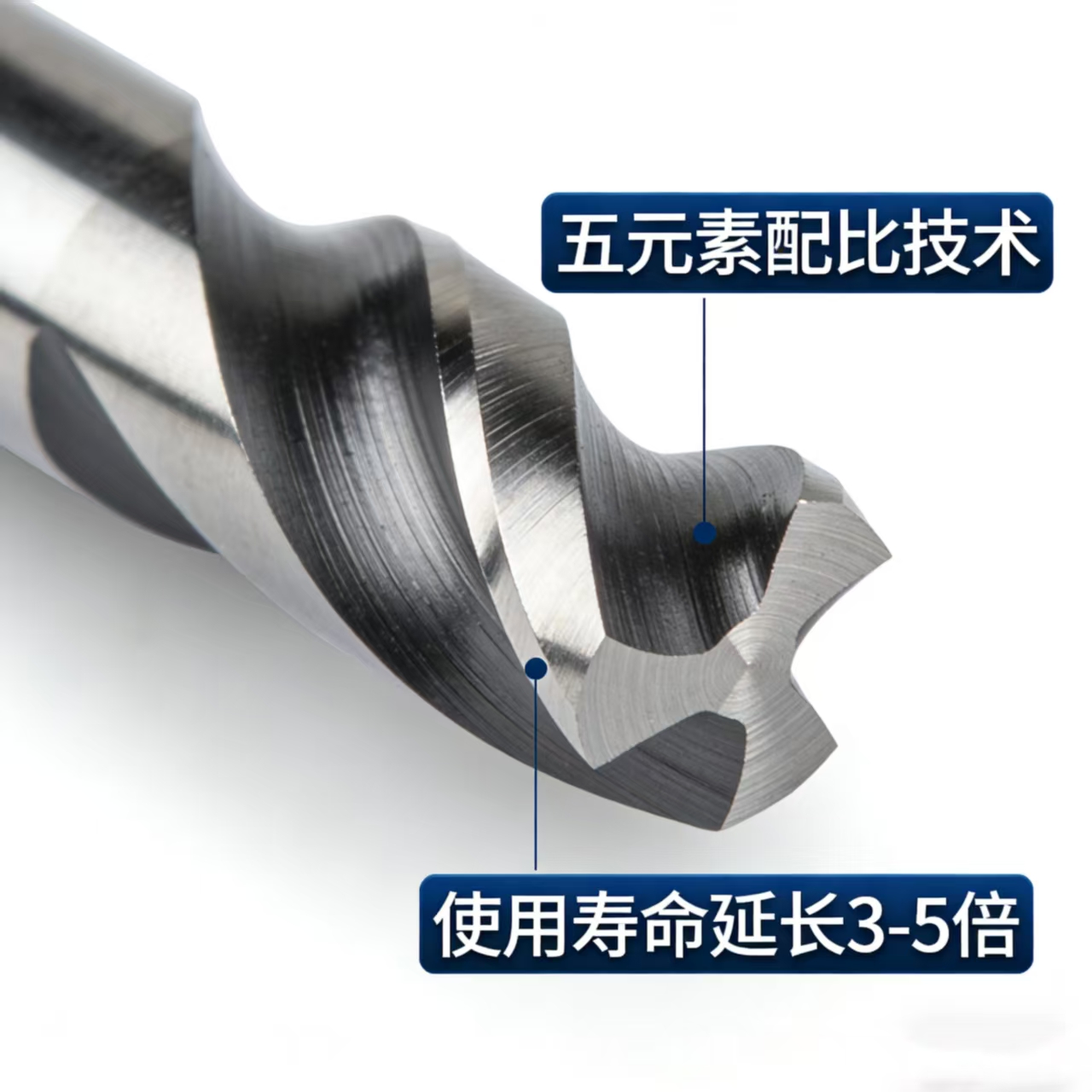 19f0e2ad108db042de01883c36009021