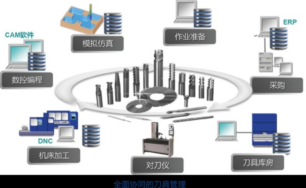 xinwen5 (3) xinwen5 (3)