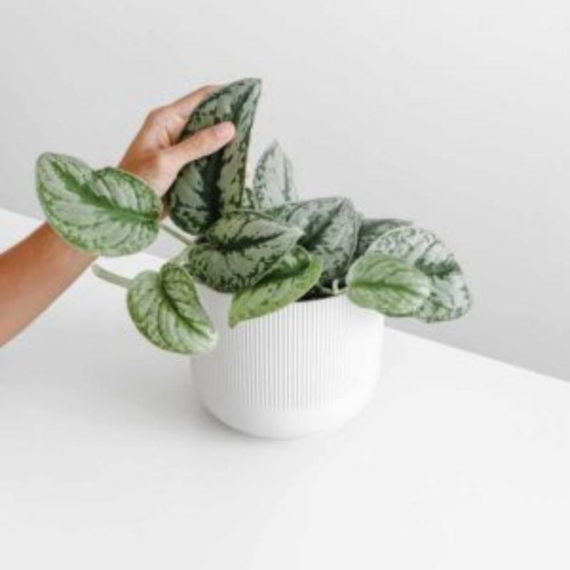 Как улучшить теплоизоляцию французских окон?